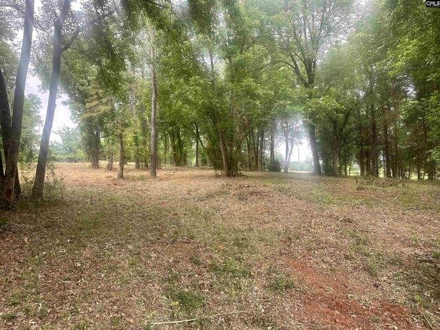 Land for sale in Little Mountain, South Carolina