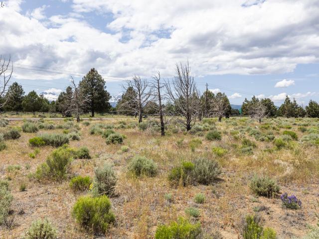 Land for sale in Oregonia