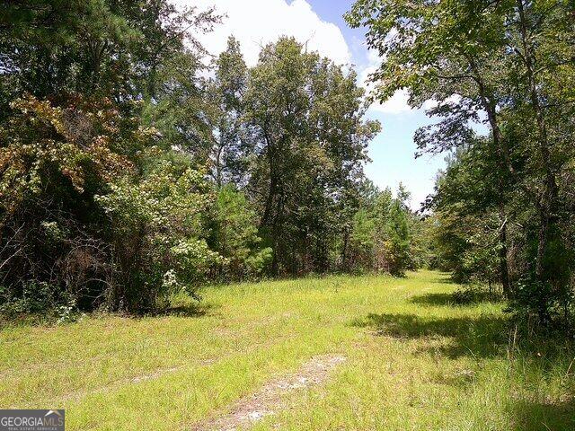 Land for sale in Kite, Georgia