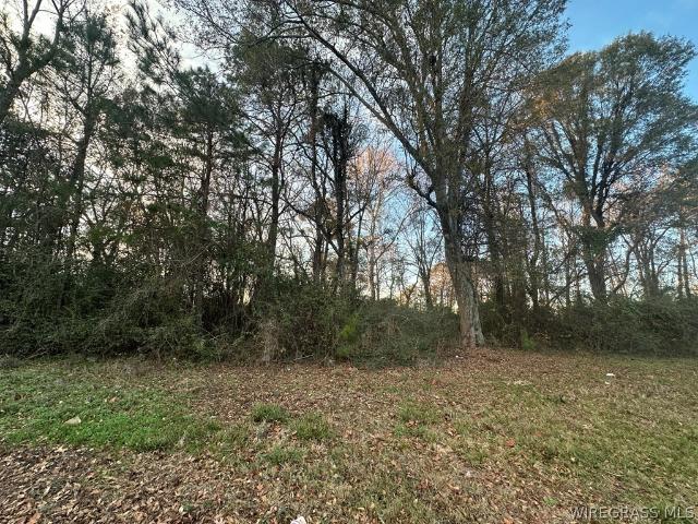 Land for sale in Brundidge, Alabama