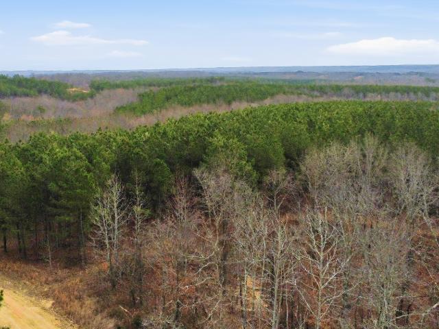 Land for sale in Tennessee