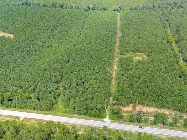 Land for sale in Waynesboro, Georgia
