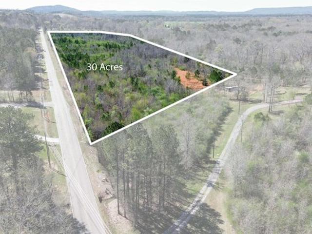 Land for sale in Ashville, Alabama