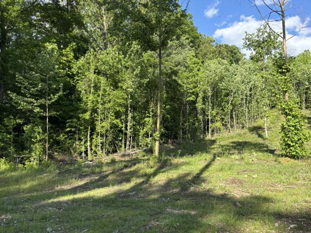Land for sale in Tennessee