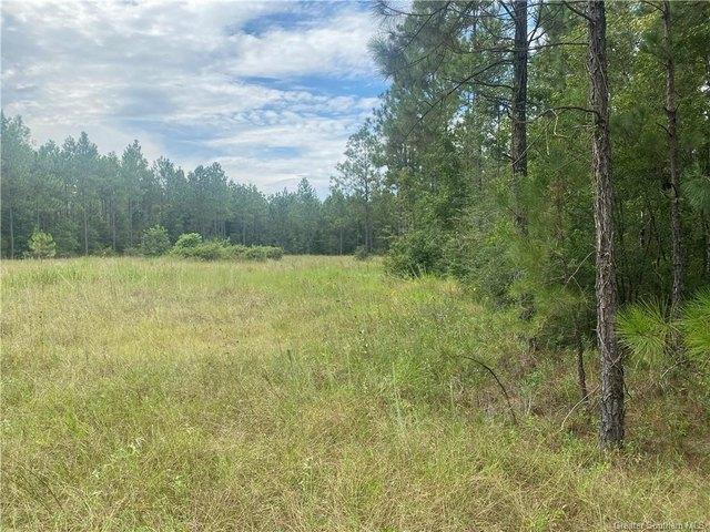 Land for sale in Dequincy, Louisiana