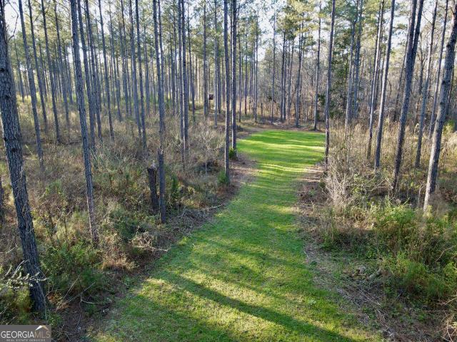 Land for sale in Abbeville, South Carolina
