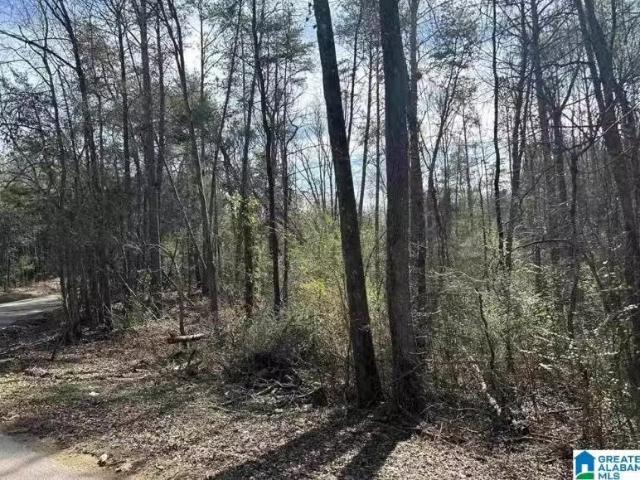 House for rent in Alabaster