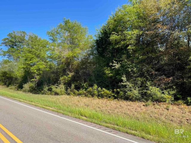 Land for sale in Evergreen, Alabama