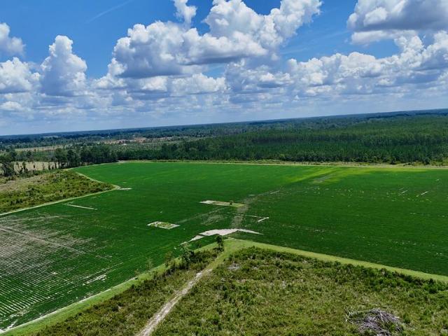 Land for sale in Alma, Georgia