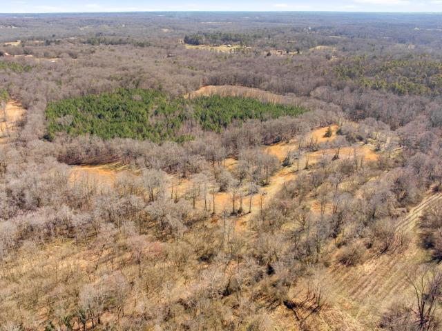 Land for sale in Nicholson, Georgia