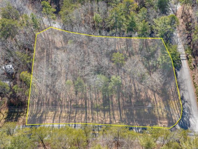 Commercial for sale in Helen, Georgia