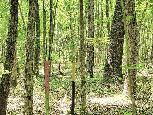 Land for sale in Ark