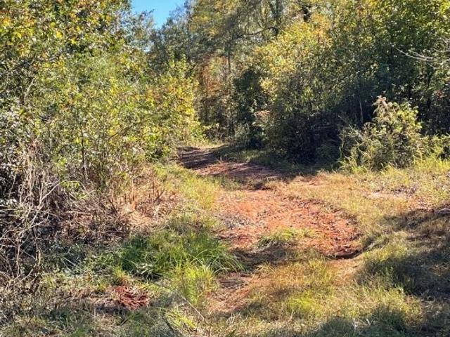 Land for sale in Jackson, Georgia