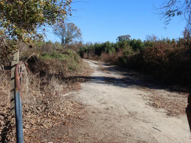 Land for sale in Blackville, South Carolina