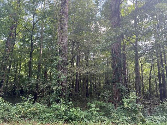 Commercial for sale in Bartow, Georgia
