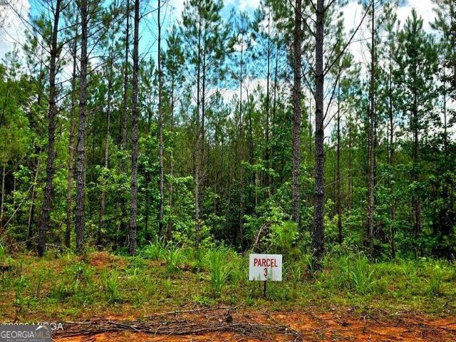 Land for sale in Forsyth, Georgia