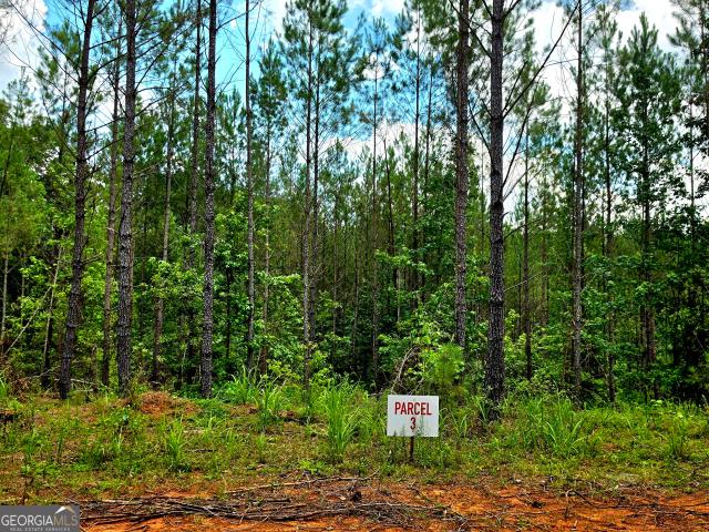Land for sale in Forsyth, Georgia