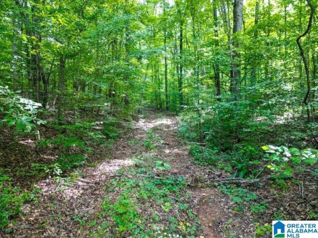 Land for sale in Roanoke, Alabama