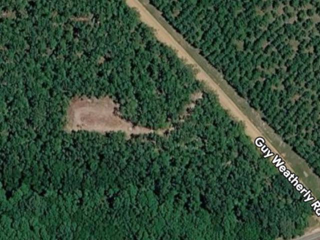 Land for sale in Cadwell, Georgia