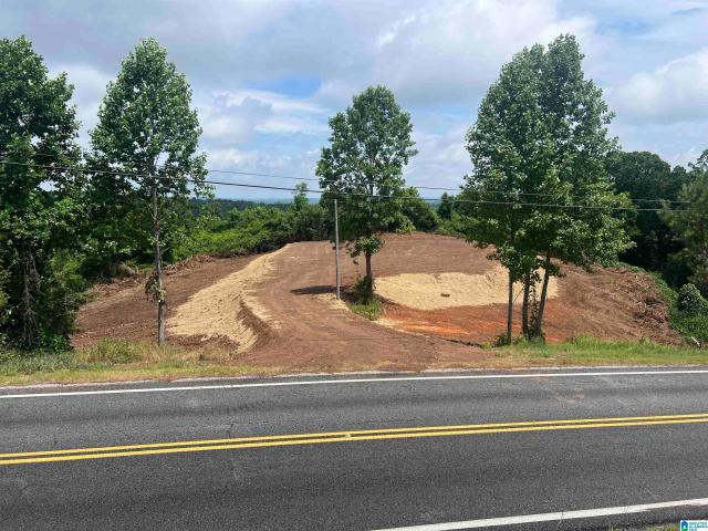 Land for sale in Wedowee, Alabama