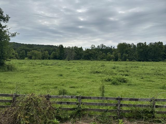 Land for sale in Aetna, Centerville