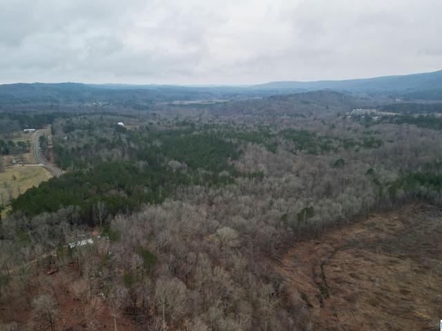 Land for sale in Lineville, Alabama