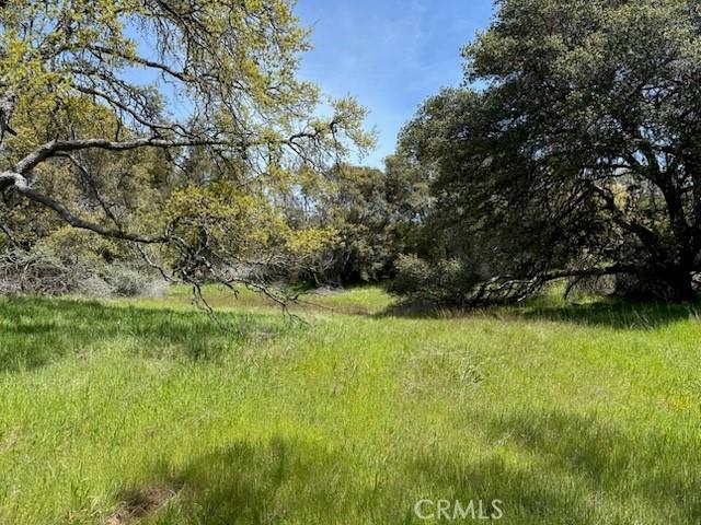 Land for sale in Mariposa Land for sale in Mariposa