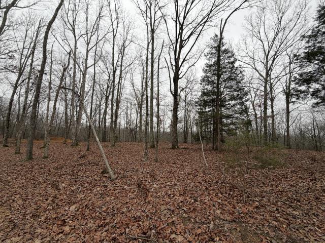 Farm for sale in Tennessee