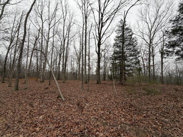 Farm for sale in Tennessee