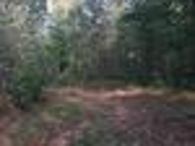 Land for sale in Pickens, Georgia