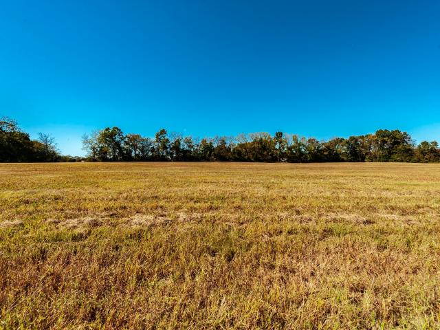 Land for sale in Tennessee