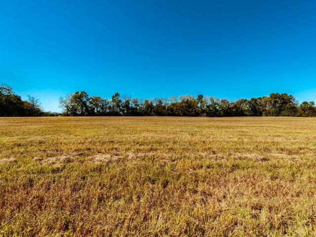 Land for sale in Tennessee