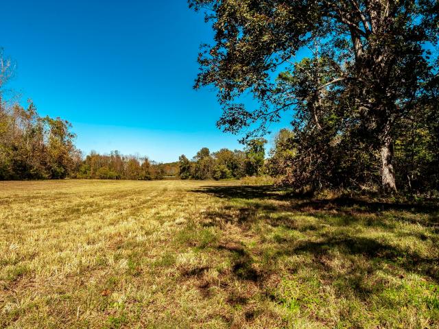 Land for sale in Tennessee