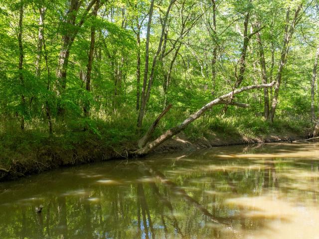 Land for sale in Moreland, Georgia