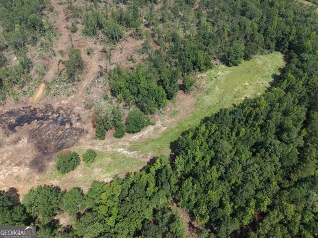 Land for sale in Wilkinson, Georgia