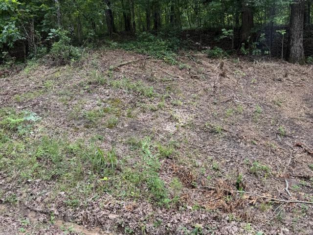 Land for sale in Tennessee