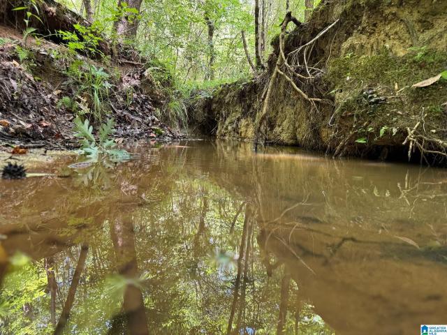 Land for sale in Tallapoosa, Alabama