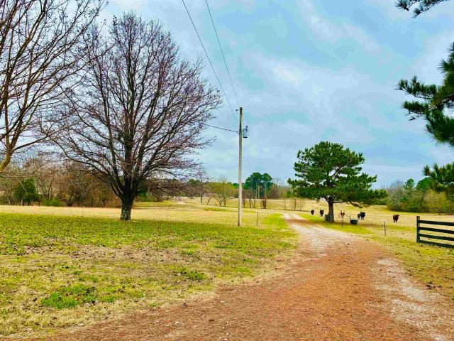 Land for sale in Tennessee