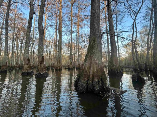 Land for sale in Tennessee