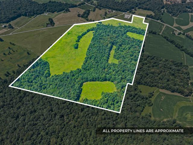 Farm for sale in Princeton, Kentucky