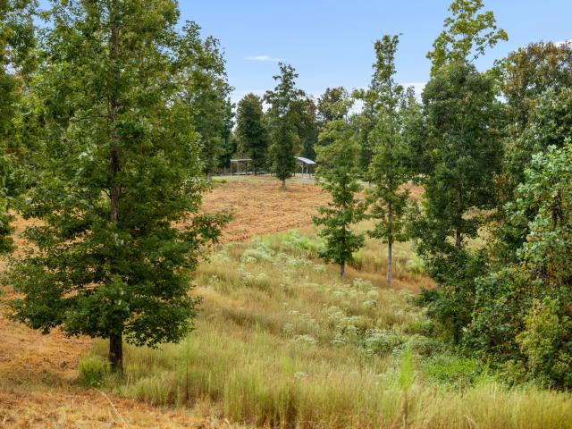 Farm for sale in Pegram, Middle Tennessee