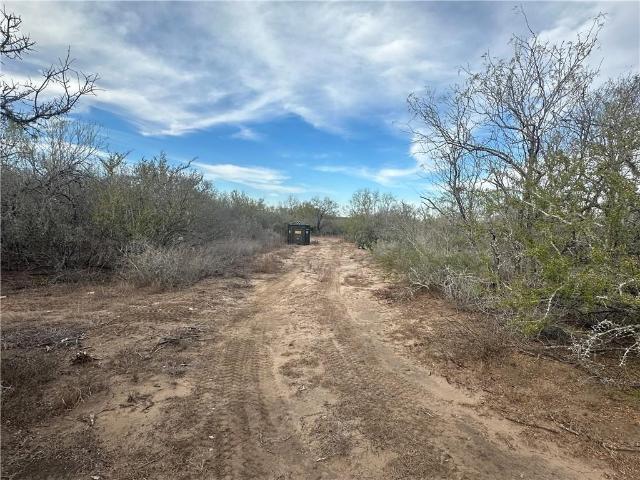 Land for sale in Three Rivers, Texas