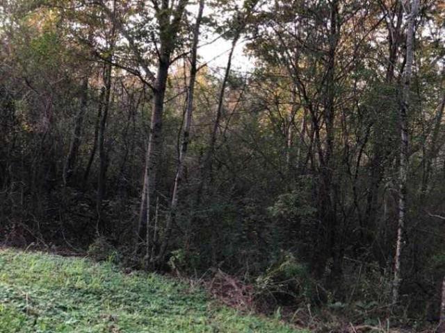 Land for sale in Heflin, Alabama