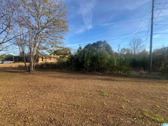 Land for sale in Eastaboga, Alabama