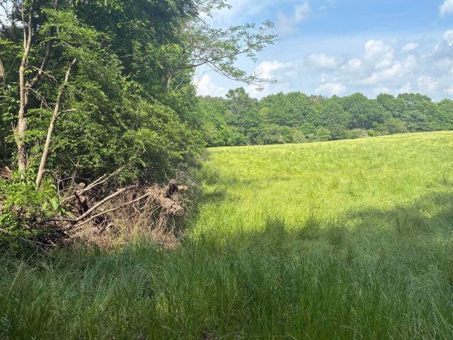 Land for sale in Blount, Alabama