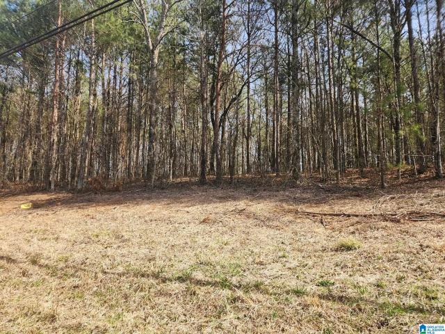 Land for sale in Blount, Alabama