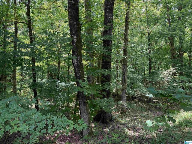 Land for sale in Vincent, Alabama
