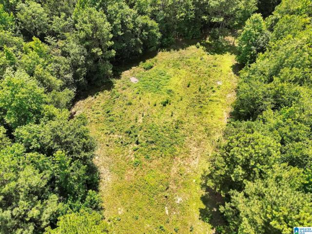 Land for sale in Maplesville, Alabama