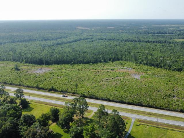 Land for sale in Homerville, Georgia