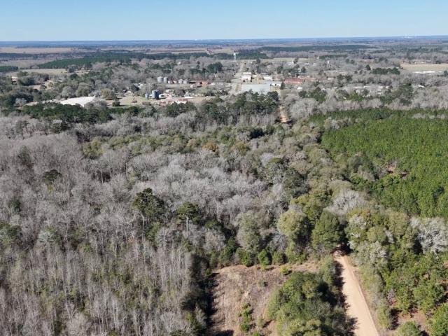 Land for sale in Byromville, Georgia
